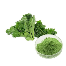 Top Quality Natural Green 100% Pure Organic Kale Powder